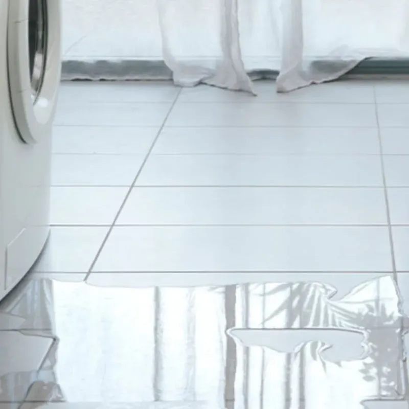 Appliance Leak Cleanup in Lakeview, CA