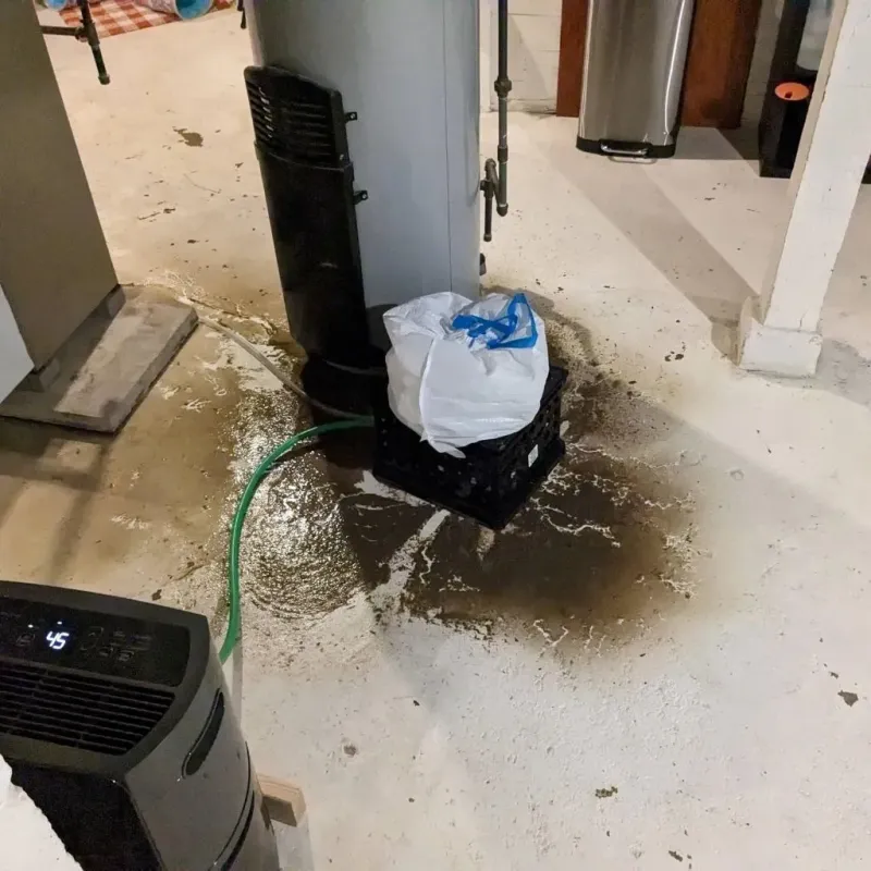 Sewage Backup Cleanup Service in Lakeview, CA
